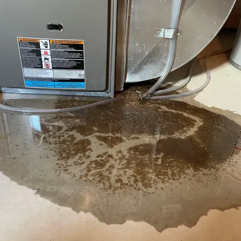 Appliance Leak Cleanup in Washington County, IN